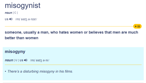 Định nghĩa thứ 3 về Misogynist