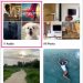Cách tìm âm thanh đã lưu trên Instagram