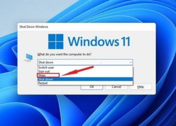 Win 11 không Sleep được