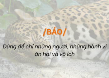 Báo nghĩa là gì