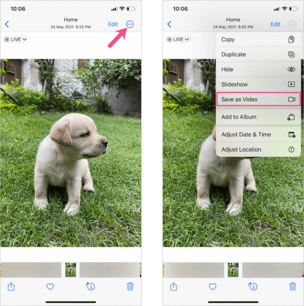 Cách lưu Live Photo thành video trên iOS 16 bước 2