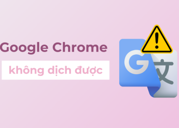 Google Chrome không dịch được